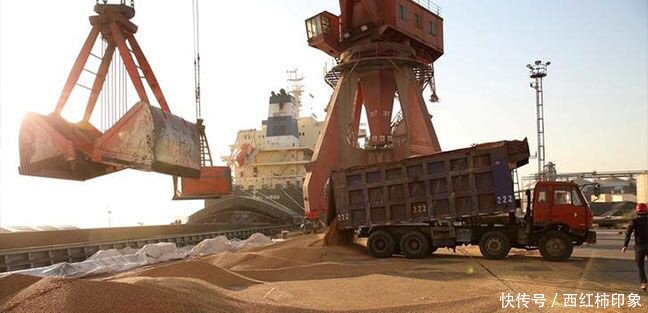 美媒:中国降低对亚洲国家大豆的进口关税!美国