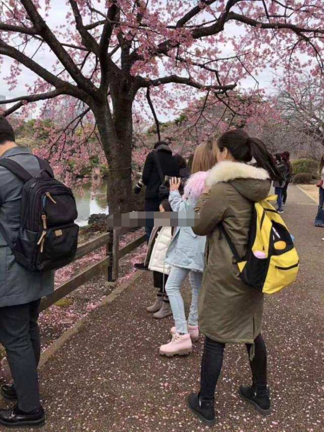 网友日本偶遇李小璐带甜馨赏樱花拍照心情好,