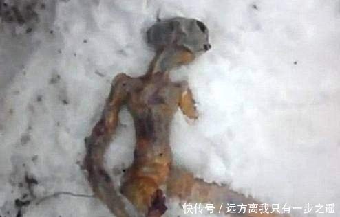 世界真实未解之谜,世界真实未解之谜是什么