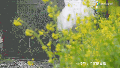 嘉阳蒸汽小火车,坐上去就开往春天