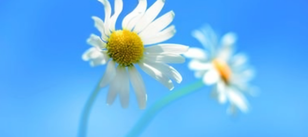 考研调剂时我们可以报几个学校