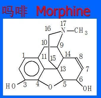 海洛因的化学结构式是什么