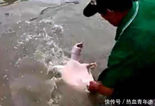 男子臭水沟中钓鱼,路人都嘲笑他傻,随后的画面,路人尴尬了
