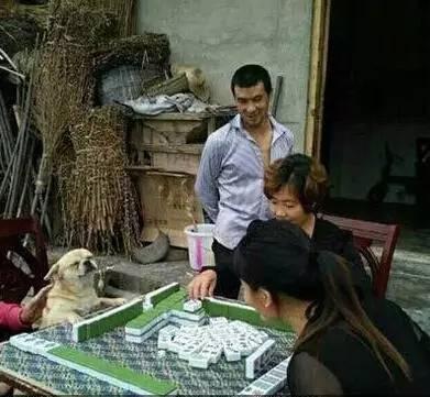 搞笑图片gif妹子表情包动态人体享受:点心,你可长美女吧,还真的图片