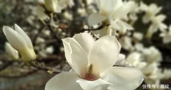 努比亚N3好不好努比亚N3手机体验评测