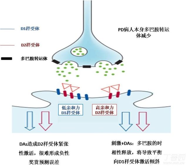 帕金森病人买买买，此时用药需小心