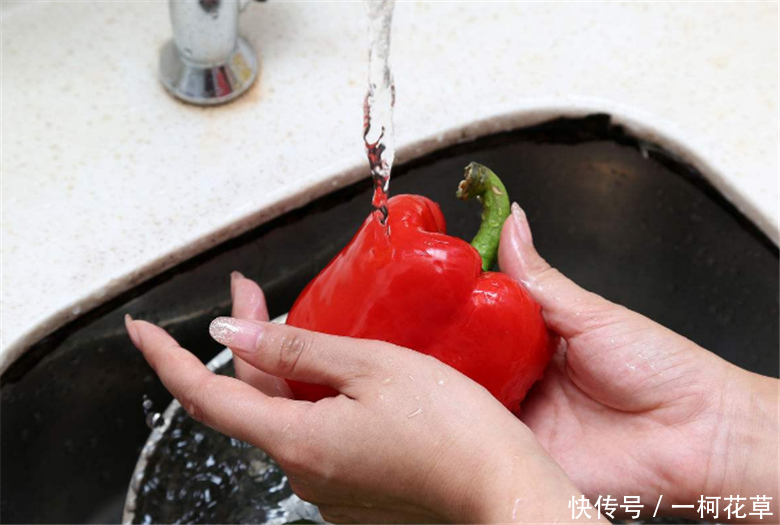 我有100种制作花肥的方法,你敢用吗?