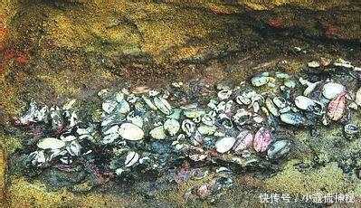 探秘6个罕见的未解之谜,有些事情说不清道不明!