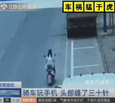 车祸猛于虎,盘点方圆十里寸草不生的奇葩女司机!