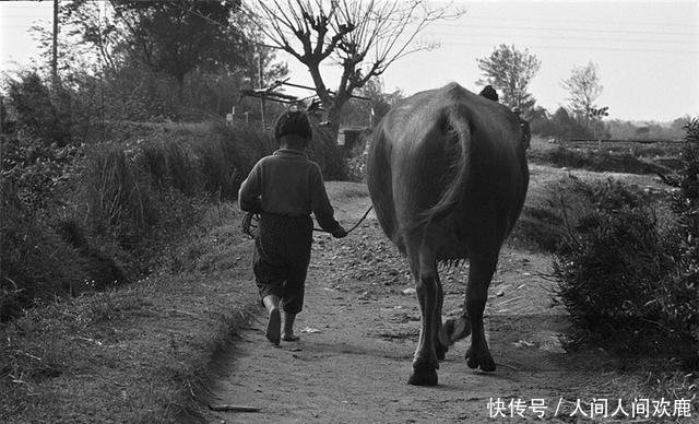 60年代的台湾,老照片记录中年人的贫穷童年