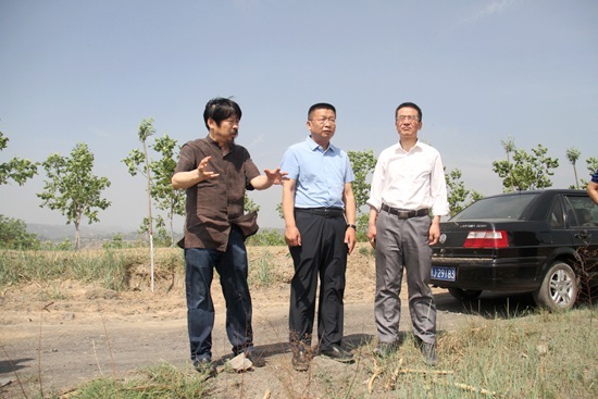 汾阳市委书记武跃飞在石庄镇胡家社,阳泉村调研