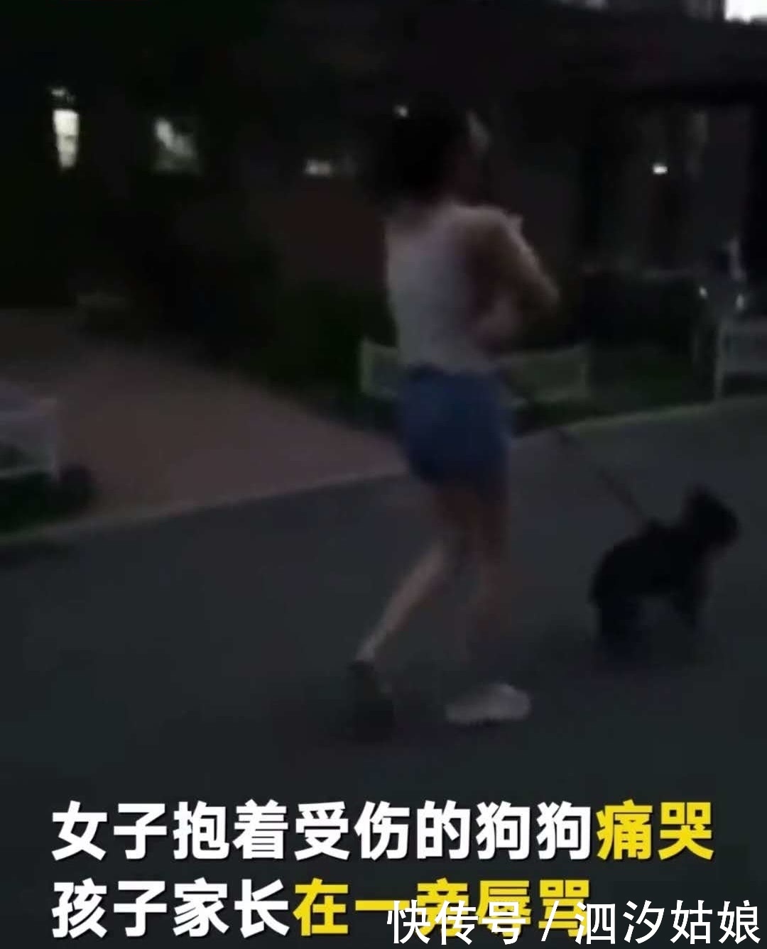 小孩遛狗没拴狗绳吓到板砖美女抄家长把狗砸美女减肥药诞生的图片