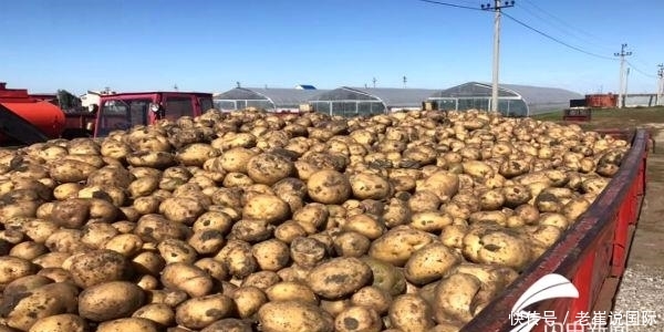 希森6号土豆在哈萨克斯坦获得官方认证 列入补