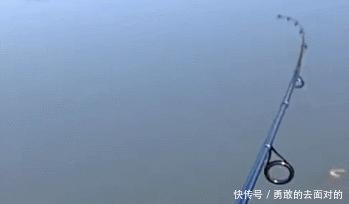 小鱼怎么钓最快 t011ba8fe48d164648a.jpg