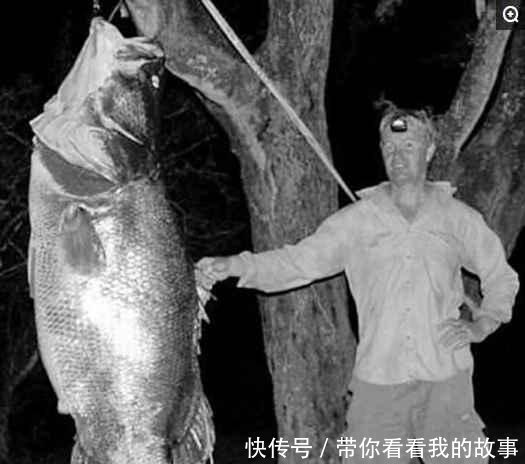 世界上7大最凶猛的淡水鱼, 水产养殖户很怕遇