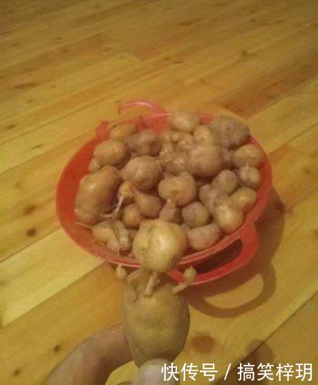 开心一刻笑话:为了早日拿到驾照,领导帮我找了