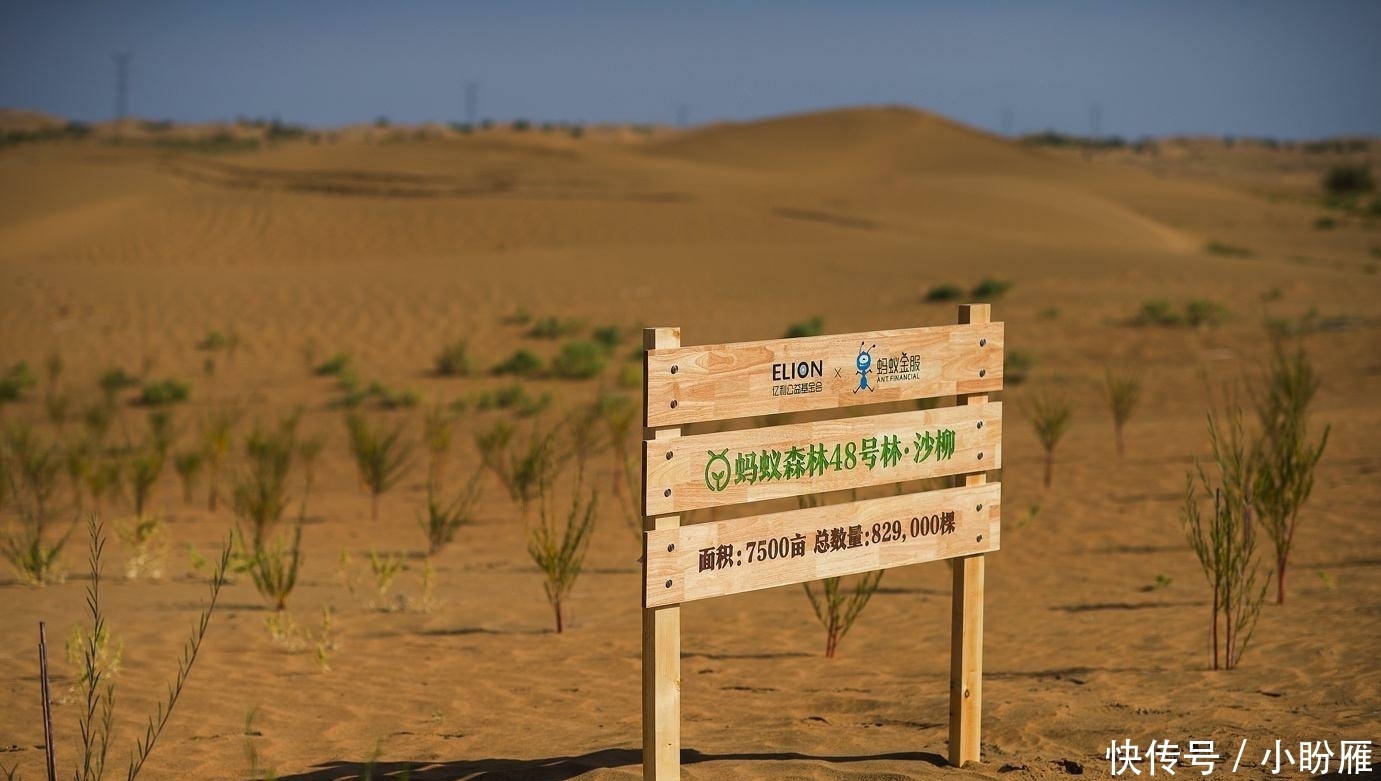 t011c995801643be756.jpg?size=1381x781