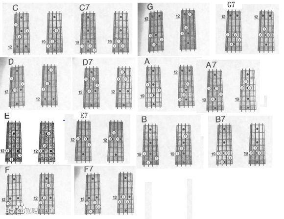 谁有贝斯和弦图