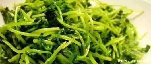 学会这20道诱人美菜,再也不用担心吃什么了