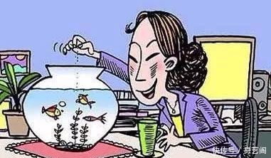 新年开运，你必须知道的八大风水布局