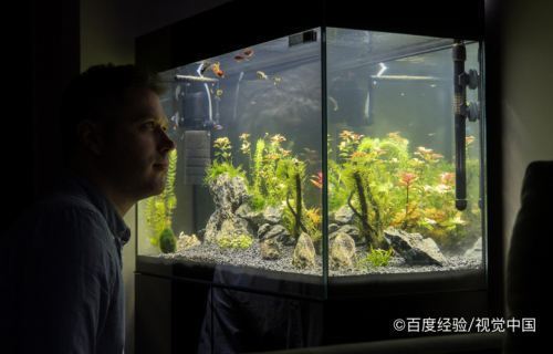 大興安嶺魚缸售后維護(hù)電話