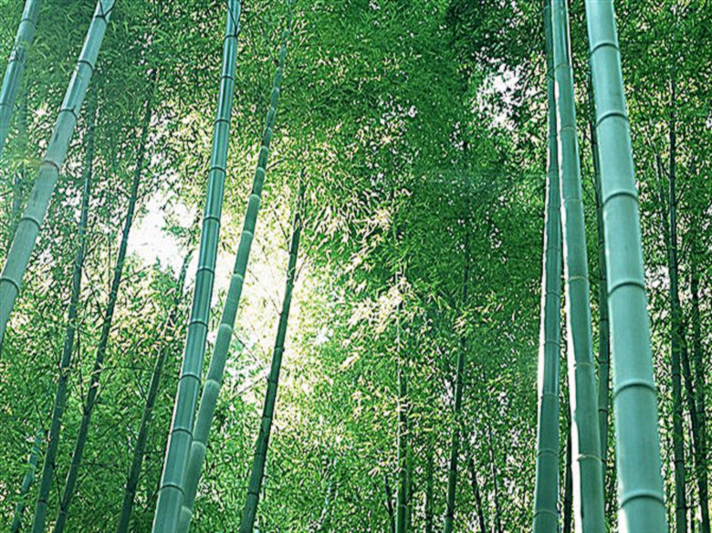 竹林<em>幽幽</em>. - 情感天地 - 360<em>论坛</em> _360安全中心