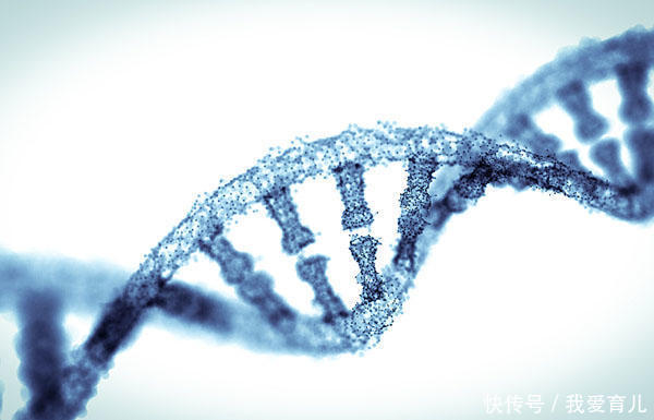 无创DNA低风险仍生下畸形儿,无创DNA的真面
