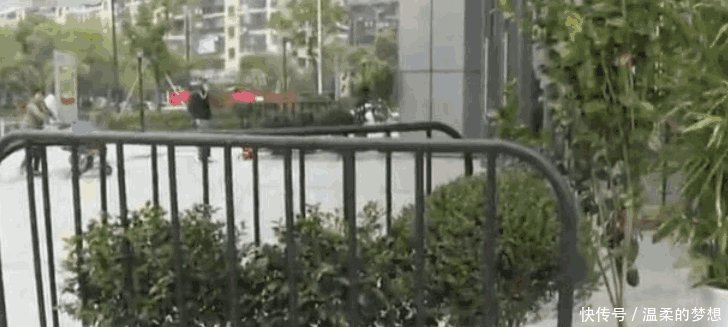 女子商场门口摔骨折, 要求商场赔偿损失, 女子