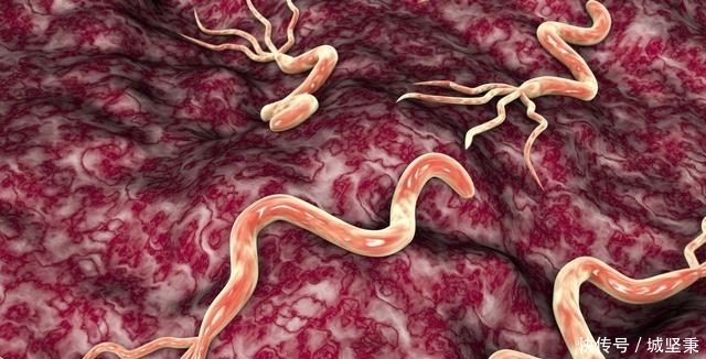 26女子不近烟酒,却胃癌离世,医生怒斥:这种食物怎么能当饭吃? 免费下载乐虎国际