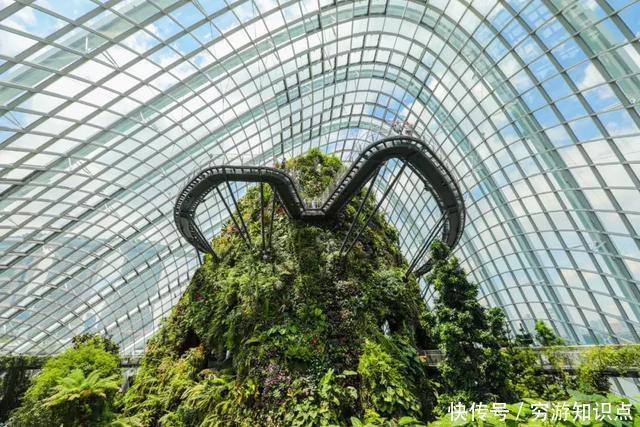 这是什么节奏？新加坡竟然花了10亿打造“原始森林”