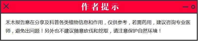 农村稀罕野草，只有山区农民才认识，人称“粉条儿菜”，还治咳嗽