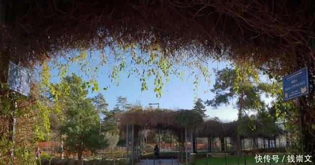 三星Note 9对比S9+, 两大机皇, 到底该如何选