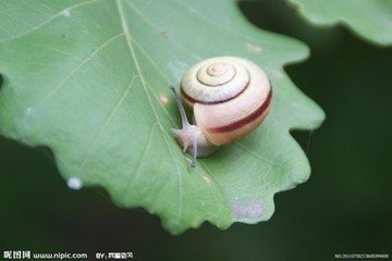 t0122b7d8732aa913a5.jpg