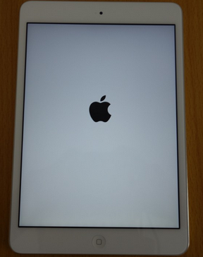 我的iPad mini2开机怎么是白底黑苹果,绝对是正