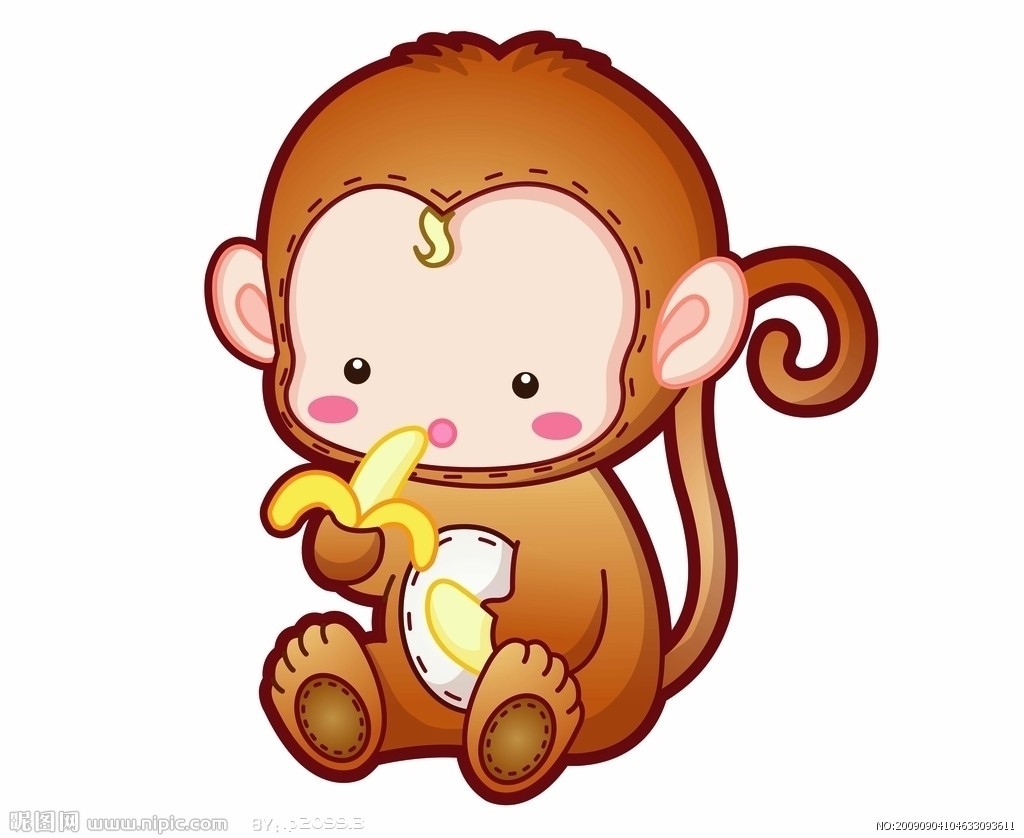 猴子是灵长目动物的俗称。灵长目是动物界最高等的类群,猴子一般大脑发达,眼眶朝向前方,眶间距窄,手和脚的趾(指)分开,大拇指灵活,多数能与其他趾(指)对握。包括原猴亚目和猿猴亚目。简介 猴种类的部分特征差不多,例如很多新世界猴会有缠卷的尾巴,这样当它们爬树时就可以用来抓着树枝,相反旧世界猴就没有缠卷的尾巴,而是有较小的鼻孔,鼻孔之间的距离也较近,部分的背部有硬皮,就像嵌入的座椅靠垫般;部分也像人类有三色的视力;其他则是两色视或单色视。虽然新旧世界猴,像猿,都有向前的眼睛,但二者的脸部却是不同的;而每种类