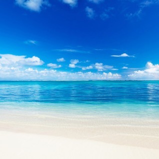 费玉清翻唱《囚鸟》深情演绎,感动全场