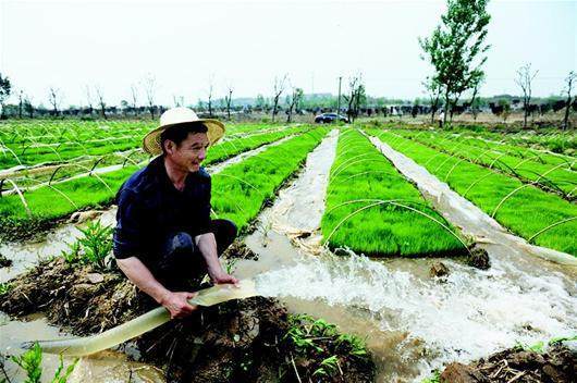 新农人大V们平日里自媒体都发布些什么内容?