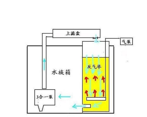 龍魚種類圖片大全集視頻教程（龍魚種類圖片大全集視頻教程下載）