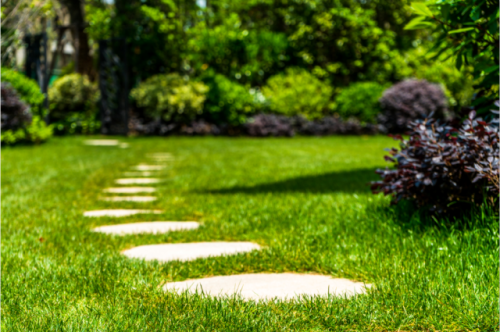 醉美人间四月天,还不迅速切换到赏花模式?