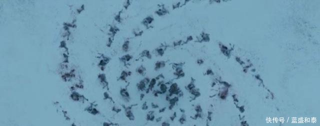 美剧《权力的游戏》夜王率军南下的原因就是杀