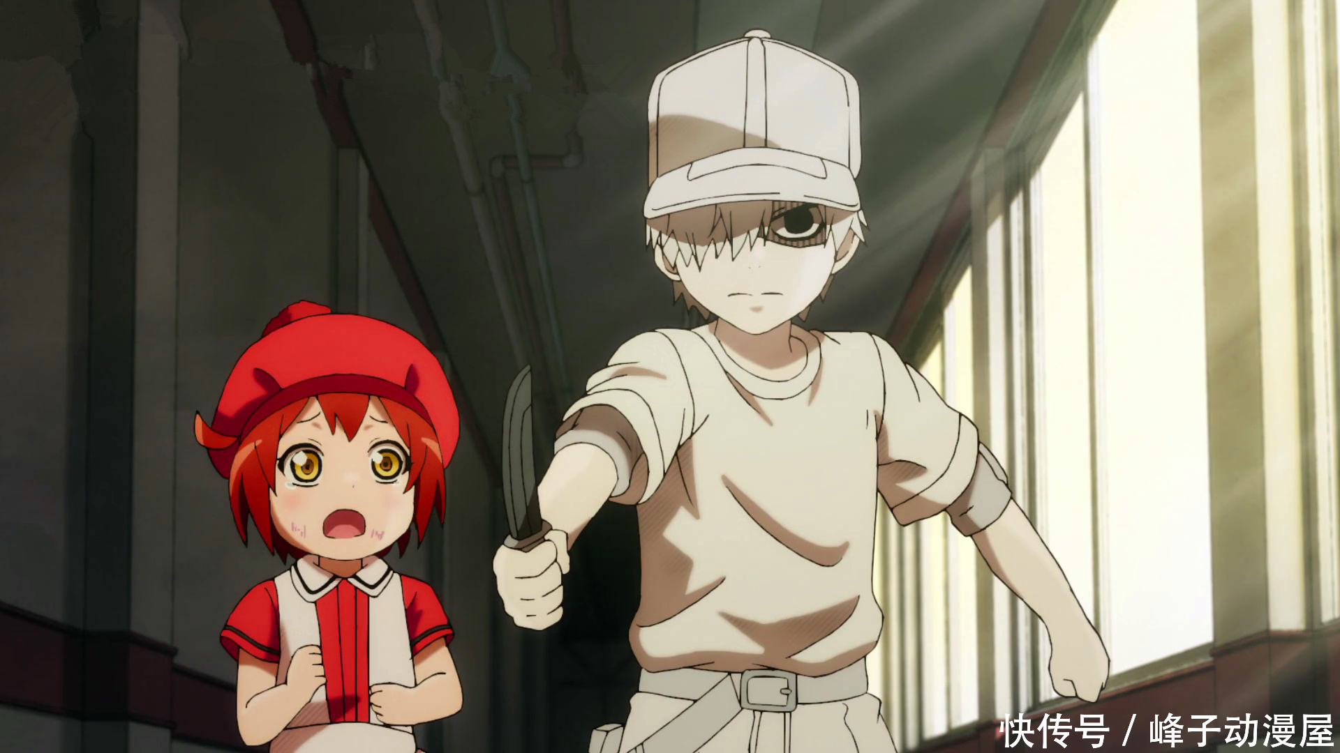 曾经搞笑的《工作细胞》,却摇身一变,成为火爆