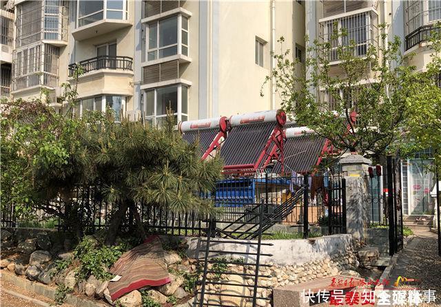 6台太阳能养热带鱼 宝龙国际社区违建陆续拆除