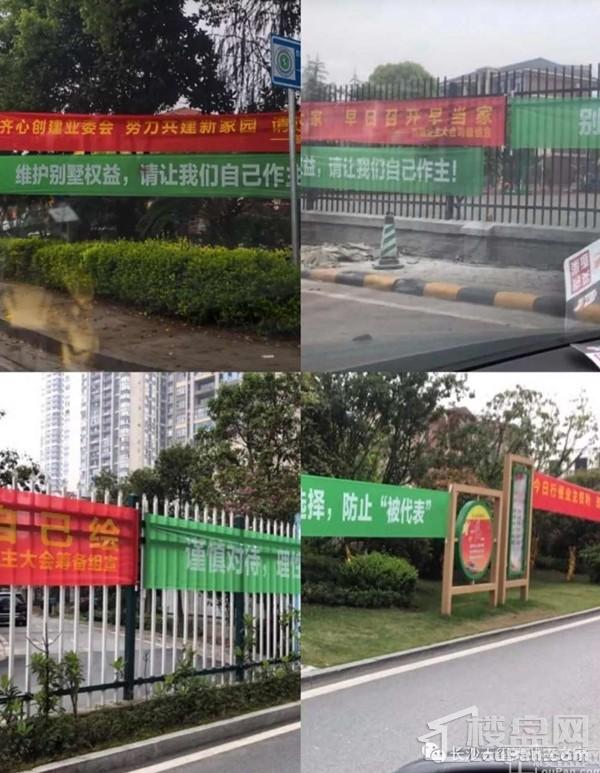 长沙碧桂园业委会筹备引发的红绿对垒!
