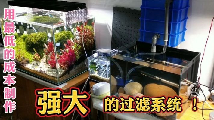 臨沂魚缸批發(fā)廠家直銷電話號碼查詢價格(臨沂市魚缸批發(fā)市場)