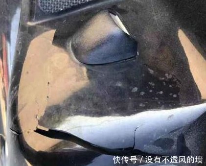 朱一龙怒怼小笼包!开车撞击居老师还洋洋得意