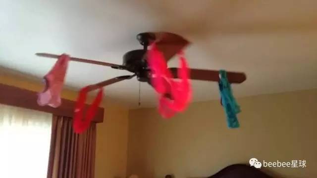 每年被偷的3亿5千万条女式内裤,到底去哪儿了