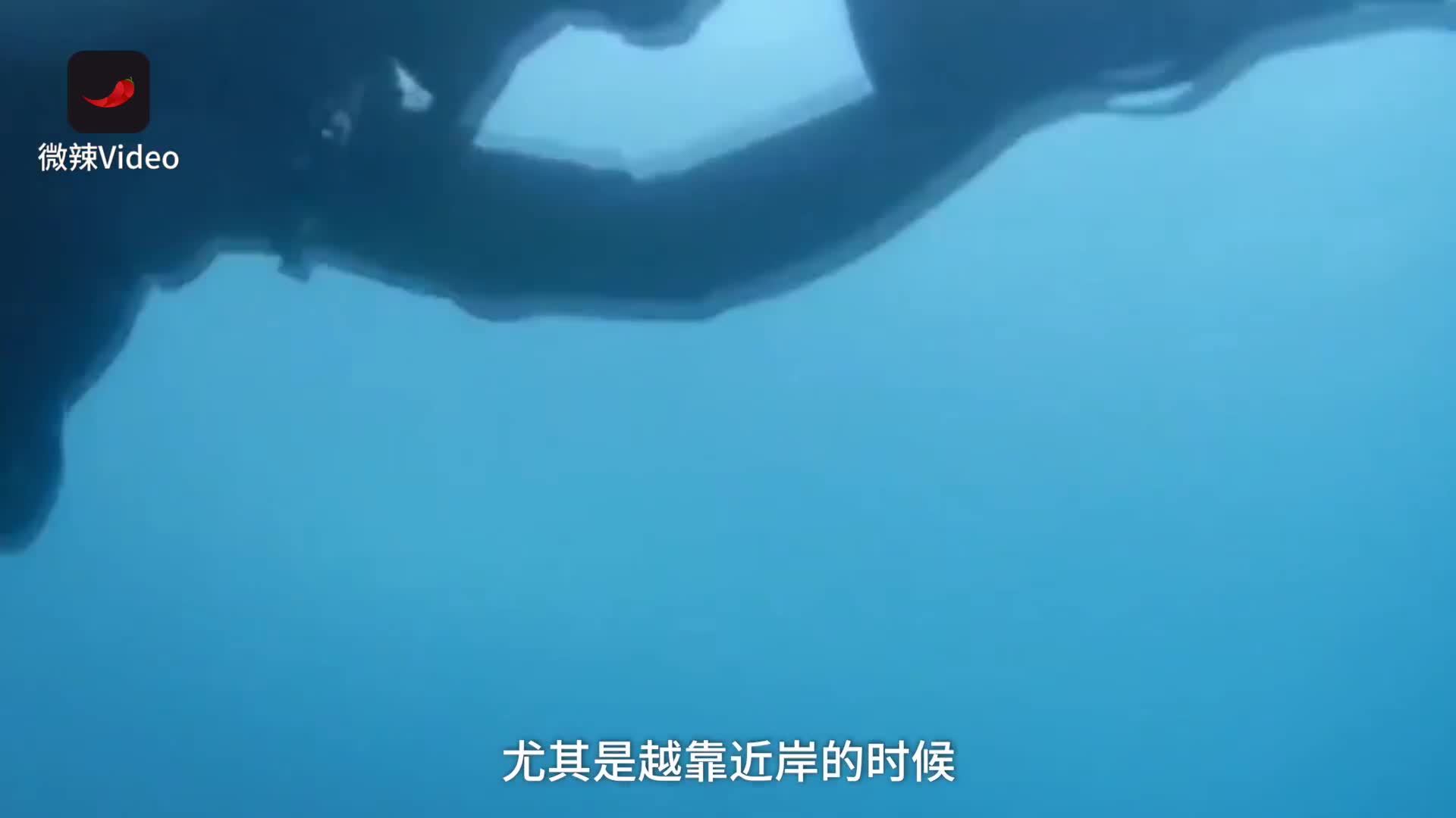 水下蛟龙