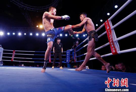 自由搏击视频比赛 t0130a4af8c2da0df4b.jpg?size=540x366