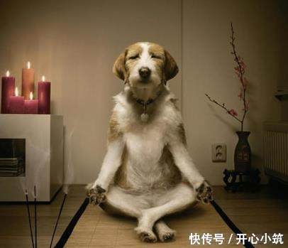 搞笑gif图片笑话段子:儿子,妈妈搂着你睡觉,那爸