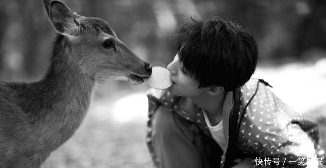 王俊凯这几张喂鹿的照片看一次心动一次,让我